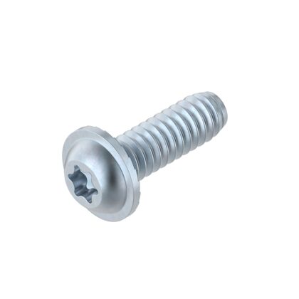 Screw S8x25-T40
